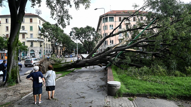 Edition numérique des abonnés