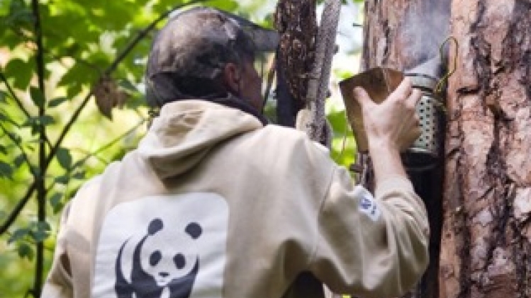 Nouvel appel à projets du WWF pour donner un coup de pouce à la nature