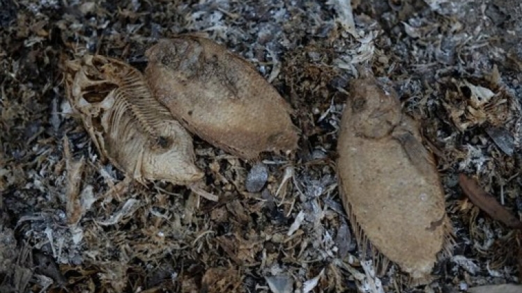 50% de chances que 2023 soit l'année la plus chaude jamais enregistrée