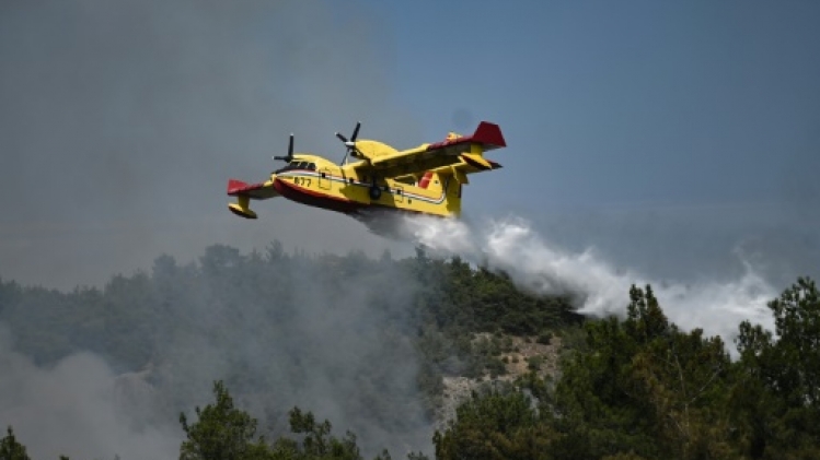 Grèce: l'incendie dans le parc national de Dadia toujours hors de contrôle