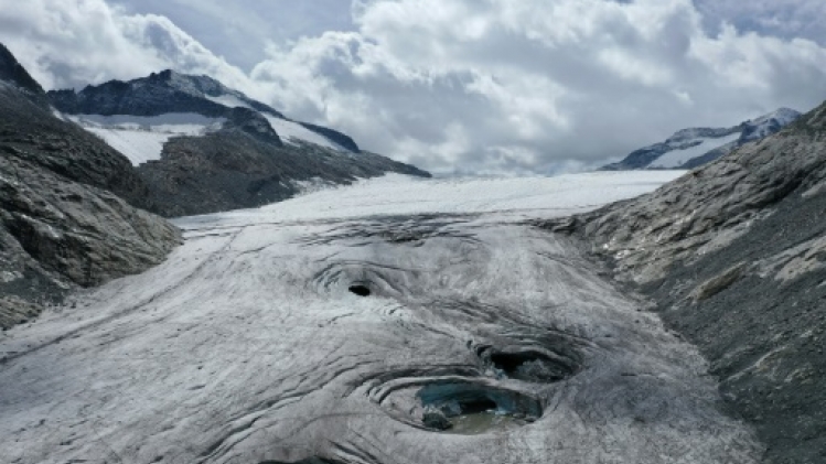 Au chevet de l'Adamello, le plus grand glacier des Alpes italiennes