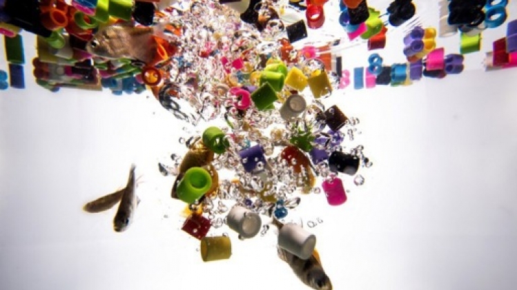 Le commissaire européen à l'Environnement nettoie le canal de Bruxelles