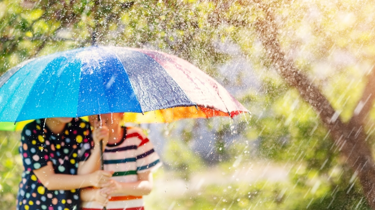 adobestock_624525274