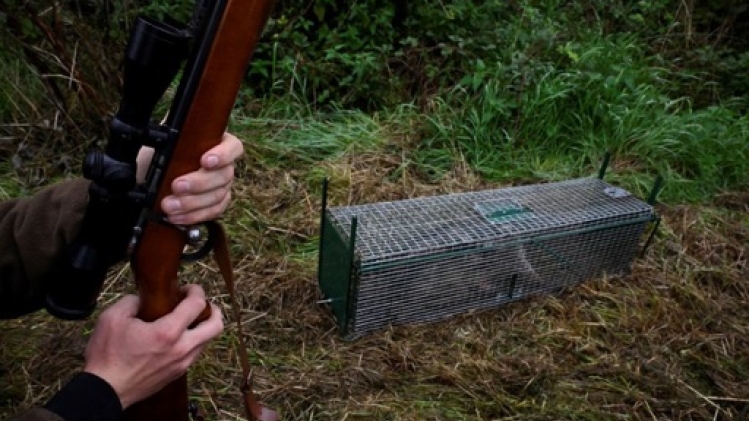ChasseonWeb, nouvel outil à destination des usagers des forêts wallonnes
