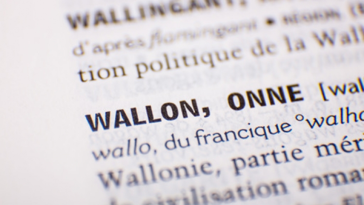 Les langues régionales endogènes sont moins en perte de vitesse qu'attendu en Wallonie