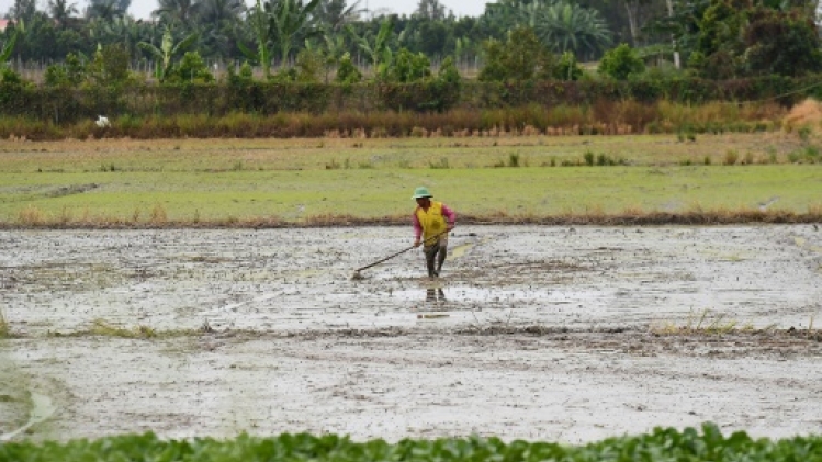Vietnam: le delta du Mékong menacé par l'épuisement de ses réserves de sable, selon le WWF
