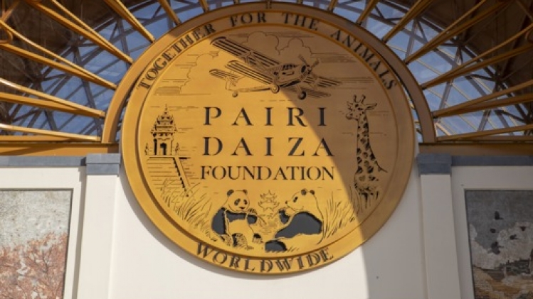 Pairi Daiza a consacré près de deux millions d'euros à la conservation en 2023