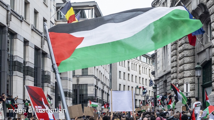 Edition numérique des abonnés