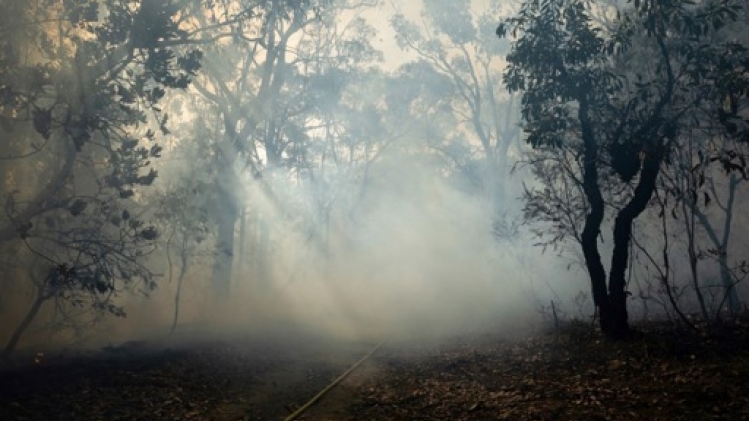 Australie: un mort dans des incendies dans la région de Sydney