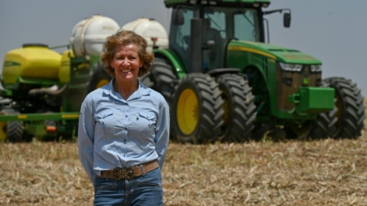 Eclipsée par l'Amazonie, l'inestimable savane brésilienne en danger