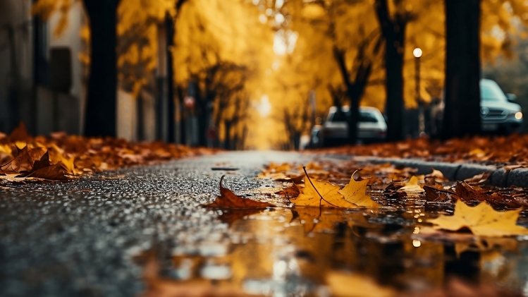 adobestock_628658577