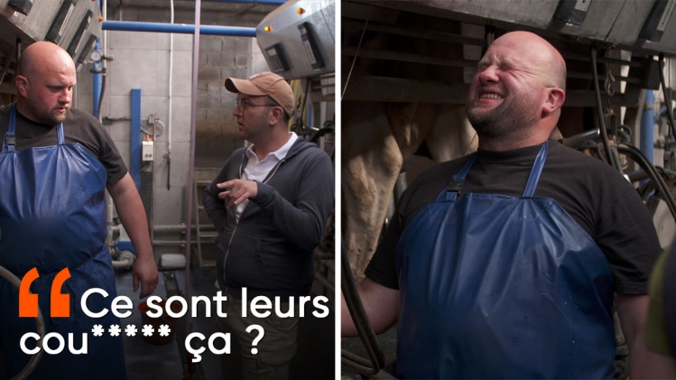 L'amour est dans le pré