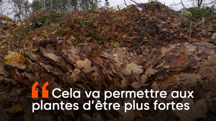 maquette_new_era_1200x675_validee_v8_copy