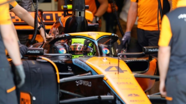 F1: Lando Norris (McLaren) partira en tête du sprint au Brésil devant les Red Bull