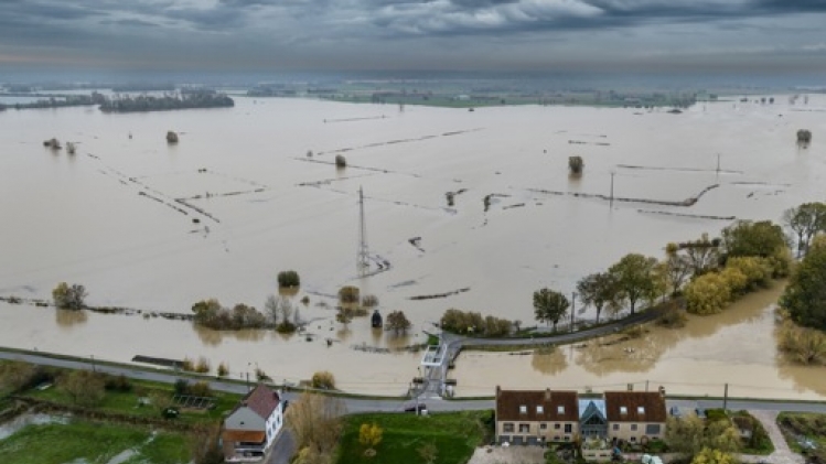 Le Roi se rendra à Dixmude vendredi