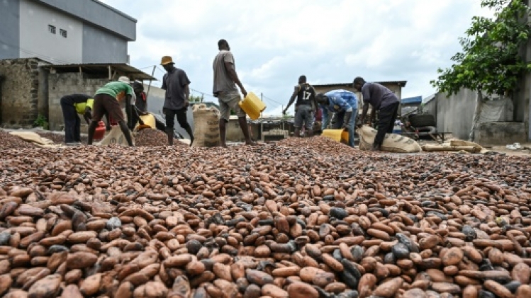 Le cacao dépasse 10.000 dollars la tonne, un nouveau record avant Pâques