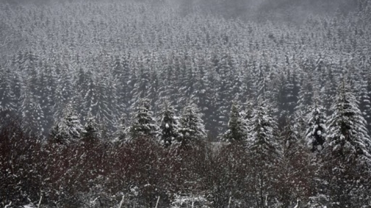 Temps frais et possibles chutes de neige en Ardenne ce week-end