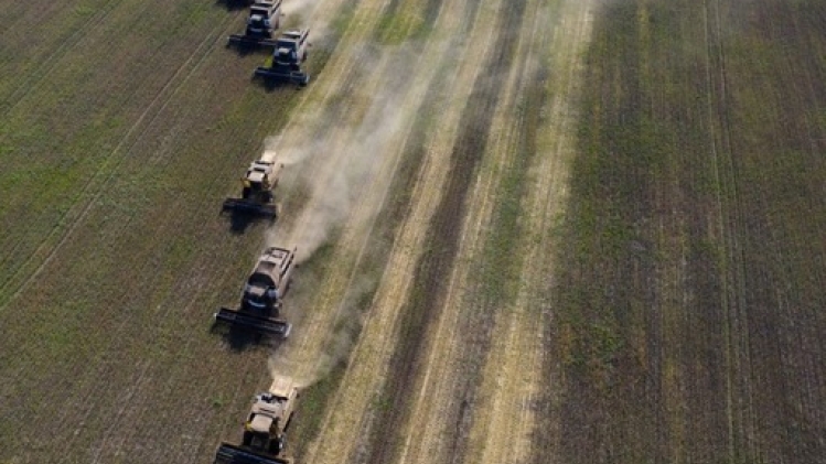Après une récolte record, la Russie entend exporter des millions de tonnes de céréales