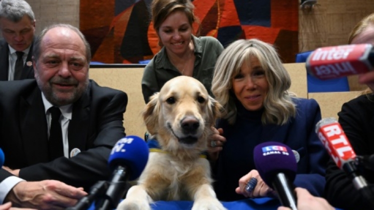 A la gendarmerie de Vannes, un chien pour aider à recueillir la parole des jeunes victimes