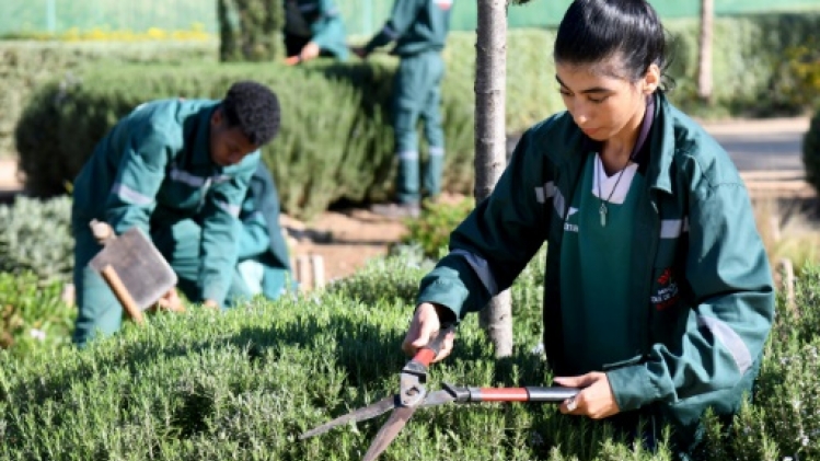 Au Maroc, une école de jardinage fait rimer inclusion et sensibilisation à l'écologie