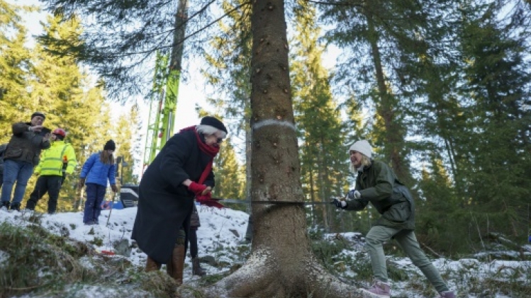 Mon beau sapin? Chaque année, un cadeau d'Oslo fait jaser à Londres