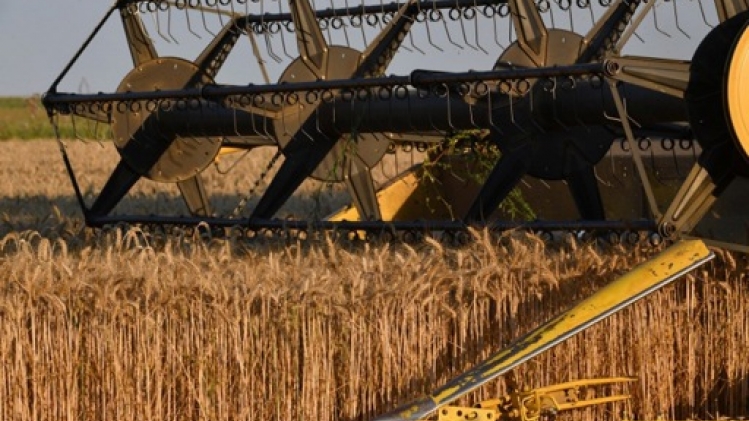 Un bon cru 2023 pour l'agriculture belge