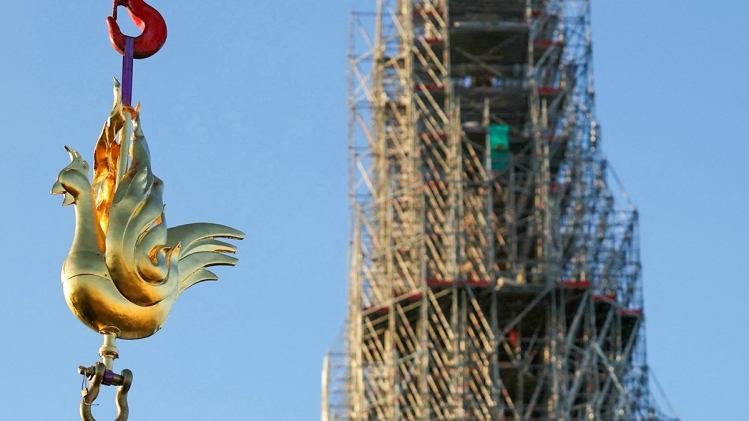 0notre-damecoqfrance