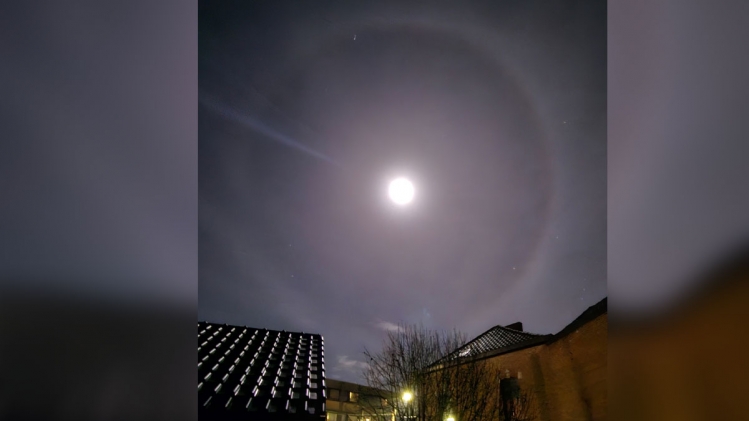 Edition numérique des abonnés