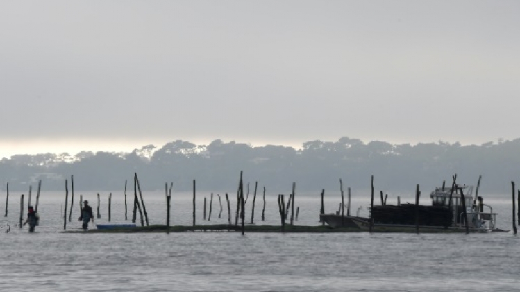 Intoxications: les huîtres du Bassin d'Arcachon interdites à l'approche du Nouvel An