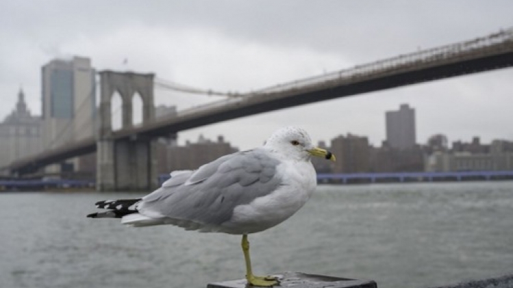 Menace d'intempéries hivernales sur la côte nord-est des États-Unis