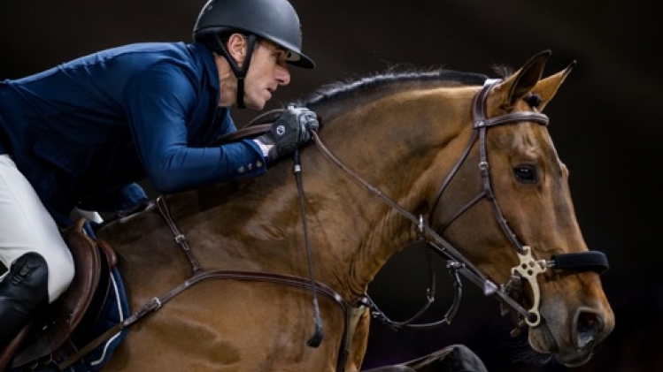 Grégory Wathelet, inscrit en individuel, pense que les 4 chevaux belges sont médaillables