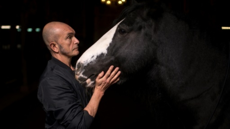 Théâtre équestre: le subtil voyage persan de Zingaro prolongé