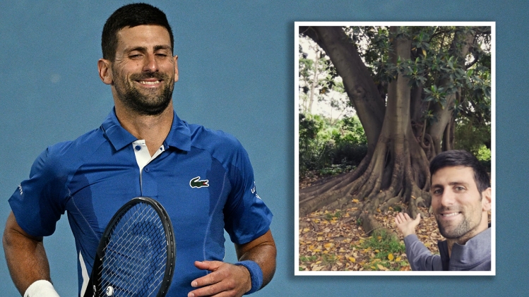 J'ai aimé ses racines, son tronc, ses branches: Novak Djokovic se