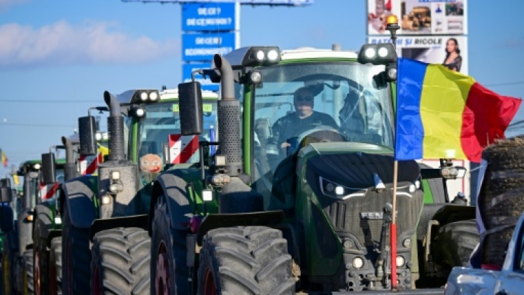 En Roumanie, le désarroi d'agriculteurs au bout du rouleau