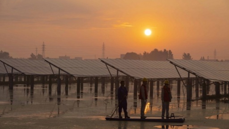Les renouvelables en voie de détrôner le charbon pour la production électrique