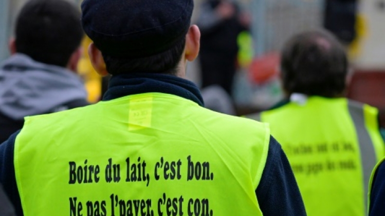 Lait: les producteurs ne veulent pas que le prix plancher de Macron devienne un prix plafond