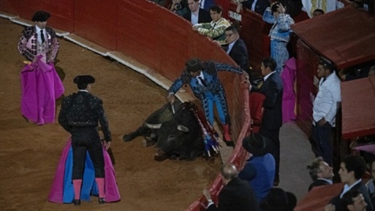 A Mexico, la corrida reprend sur fond de manifestation des anti