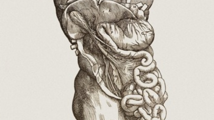 Un chef-d'oeuvre de Vésale à la KU Leuven