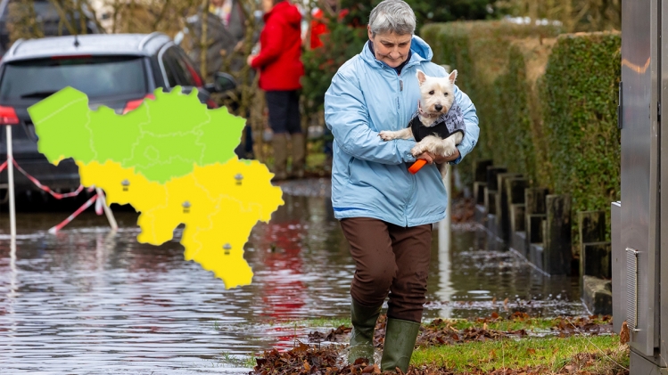 Edition numérique des abonnés