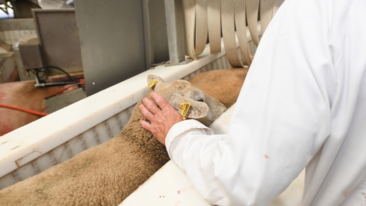 Edition numérique des abonnés