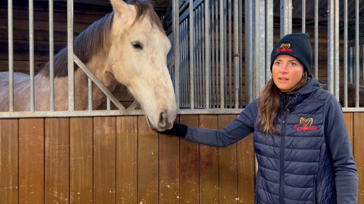 rtlinfo_13h_cleanfeed