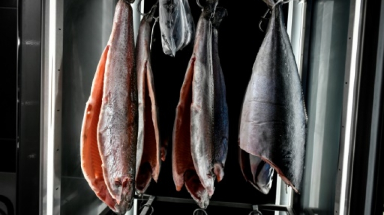 En France, le saumon en pleine déchéance gastronomique