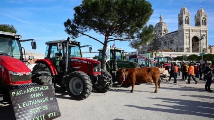 Manifestation d'agriculteurs dans le centre de Marseille