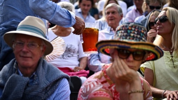 Diageo envisage de vendre plusieurs marques dont Pimm's et Safari