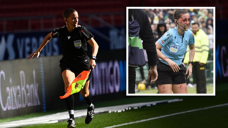 belgaimage-7541093_copie