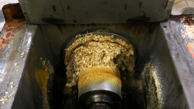 Chez Roquette, du grain de maïs au bonbon gélifié, la saga de l'amidon