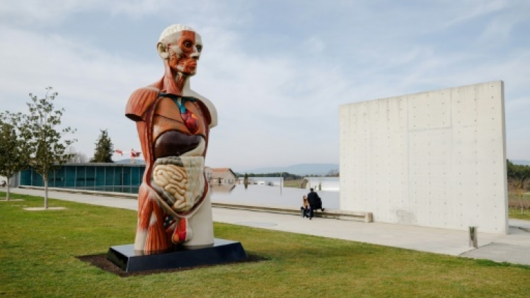 En Provence, l'artiste britannique Damien Hirst prend possession du Château La Coste
