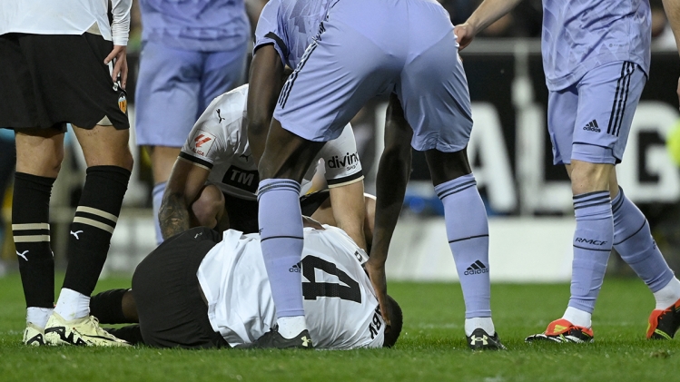 belgaimage-87924949_copie