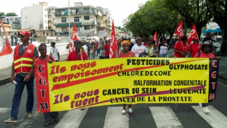 Chlordécone aux Antilles: les députés reconnaissent la responsabilité de l'Etat