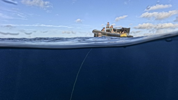 Greenpeace appelle à la création d'une première réserve marine mondiale en haute mer